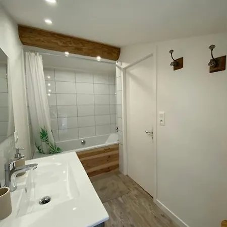 Appartamento Centre De Castres (Tarn)